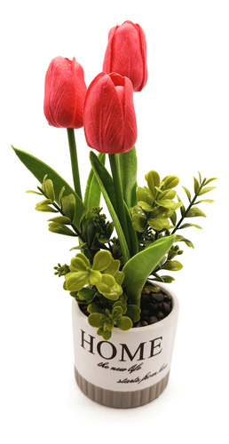 Planta Con 3 Flores De Tulipanes Maceta De Cerámica, En Caja