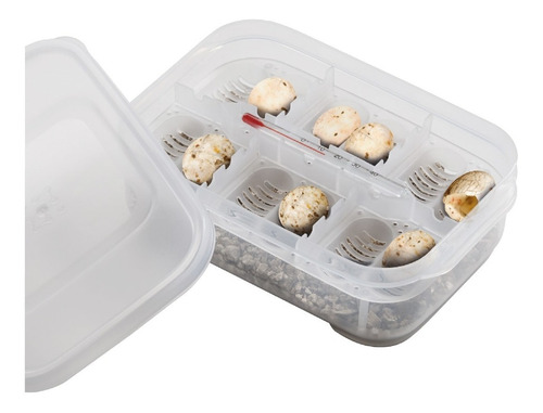 Caja Incubadora Reptiles Exo Terra