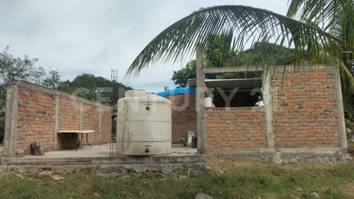 Venta De 5 Has. Sembradas Con Palma De De Coco En Coquimatlán, Colima.