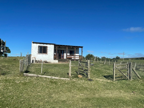 Campo De 11 Hectáreas Dividido En 5 Potreros Excelente Para Ganaderia En Rocha