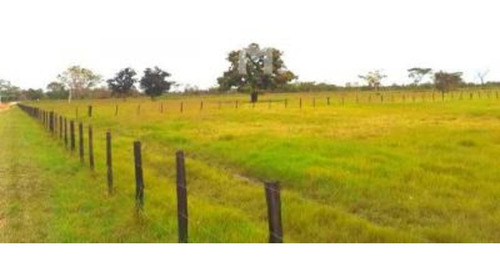 Imagen 5 de 15 de Finca En Venta Vía El Sur. Maturín (1)