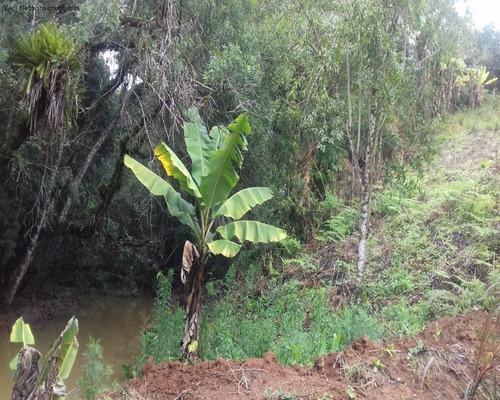 Imagem 8 de 18 de Sitio À Venda No Monjolada - Guiapiara/sp - St00246 - 68125721