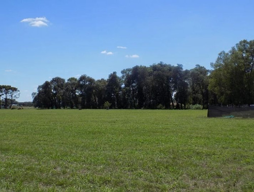 Imagen 8 de 10 de Terreno En Venta En El Espinillo Golf