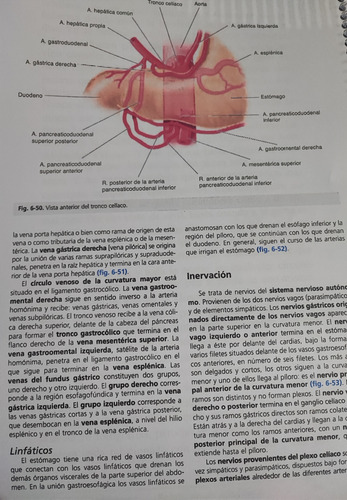 Anatomía Clínica Pró 2da Ed Full Color A4