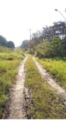 Imagem 4 de 4 de Terreno De Chácara No Parque Vergara, Em Itanhaém, Com 1000 M² De Área Total, Aceita Entrada E Parcelas