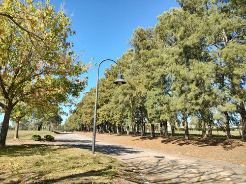 Terreno En El Campo Cardales