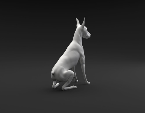 Imagen 3 de 3 de Doberman Pinscher Sentado Destinado A - Escultura