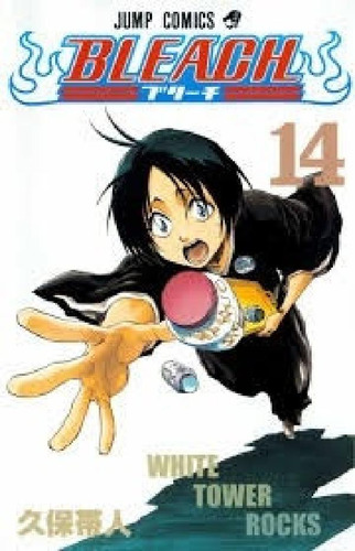 Bleach Vol 14