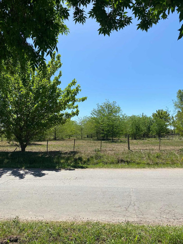 Imagen 13 de 14 de Dueño Vende Hermoso Lote En Villa Elisa, La Plata Calle 409