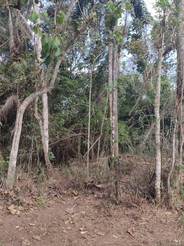 Imagem 3 de 14 de D20- Lotes Em Santa Isabel 1.000m2 Apenas 60mil A Vista
