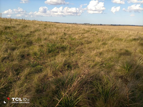 Imagen 12 de 15 de Campo Ganadero 232 Hectáreas (90 Hectáreas Son De Soja) .ruta 9