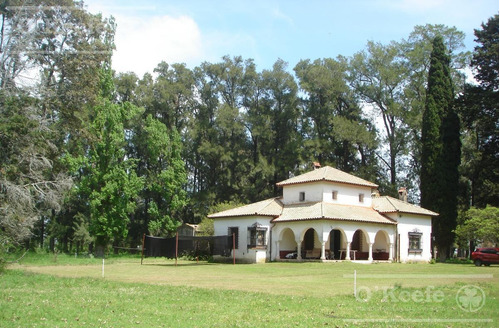 Campo Mixto En Venta De 228 Has Sobre Ruta 29 -en Brandsen