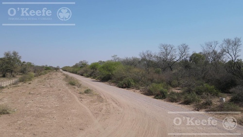 Campo En Venta 4100 Has.santiago Del Estero.apto Bonos Verde