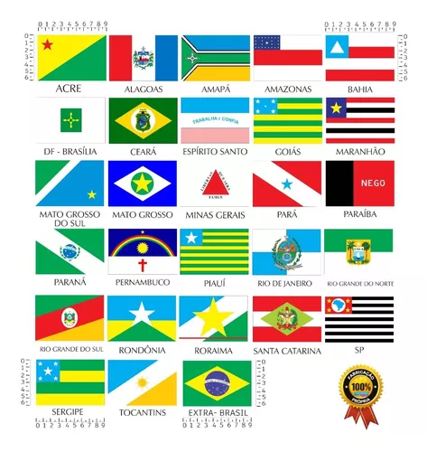 Bandeiras dos países da América do Sul 