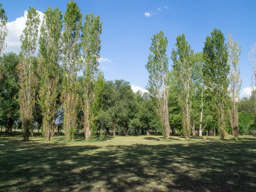 Imagen 3 de 10 de La Eugenia!! Lotes De 600 Mts².