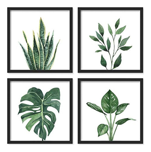 Artbyhannah 10x10 Pulgadas 4 Paneles Botanical Framed Black 