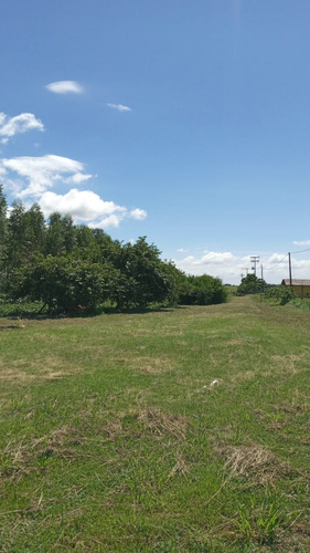 Vende Se Sítio Na Cidade De Pereiras Sp 30.000 Metros 2 Casa