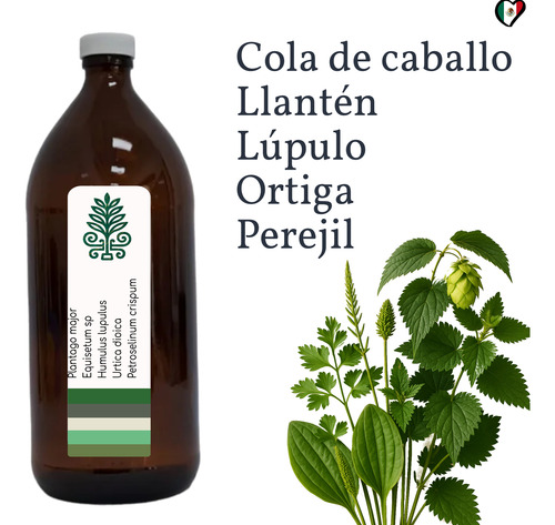 Extracto Carricillo Perejil