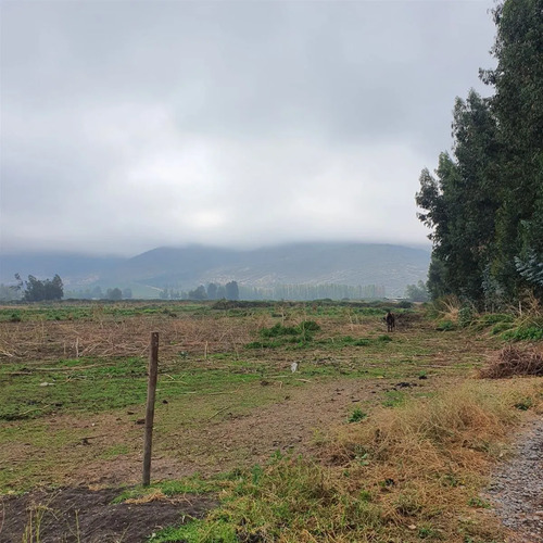 Terreno Construccion  En Venta En San Fernando