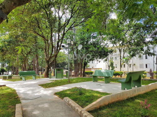 Imagem 17 de 24 de Apartamento À Venda Em Vila Padre Manoel De Nóbrega - Ap011580
