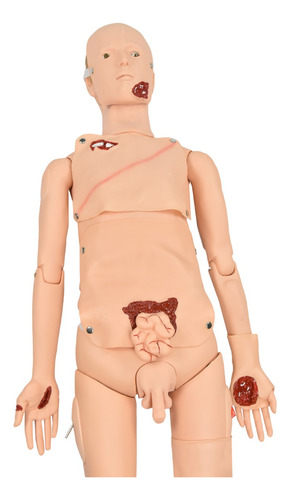 Simulador De Trauma Básico Adulto Bissexual Órgãos Internos