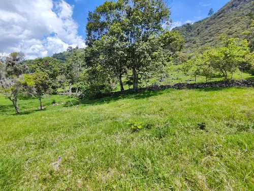 Lote En Copacabana Vereda El Zarzal