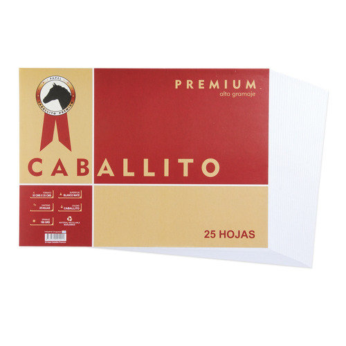 Papel Caballito Premium 35 X 25 Cm 180 Grs 25 Hojas - Mosca