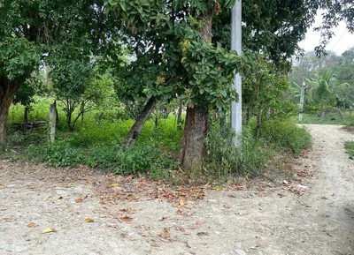 Terreno en venta