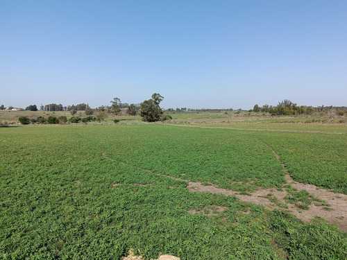 Vendo Chacra Con Cabaña De Madera, Cañada, A 30 Km De Montevideo