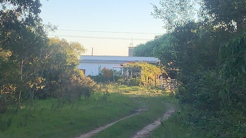 Campo A La Venta En Rocha, Castillos, Ganadero Turístico 67 Hás- Ref: 27063