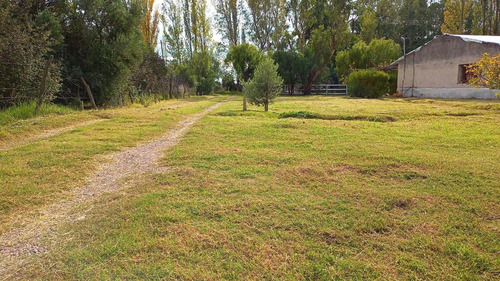 Imagen 2 de 18 de Venta - Finca - Las Paredes, San Rafael