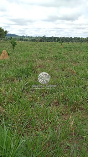 Imagem 2 de 11 de Venda Sítio Machadinho D'oeste Em Rondônia - Sia249
