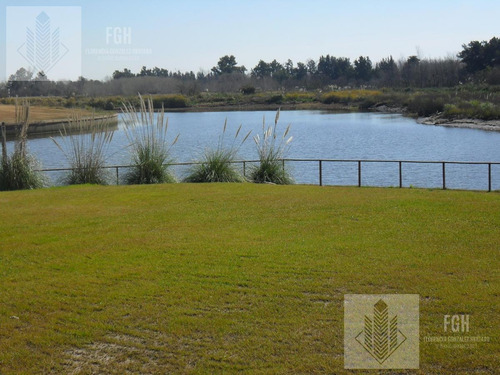 Imagen 5 de 30 de Lote Laguna En El Cazal