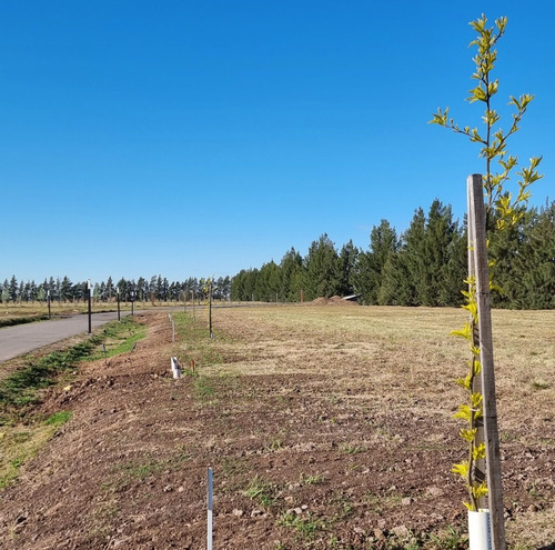Imagen 13 de 17 de Venta Terreno Country Los Pasos Barrio Cerrado 3 Y Barrio Cerrado 4