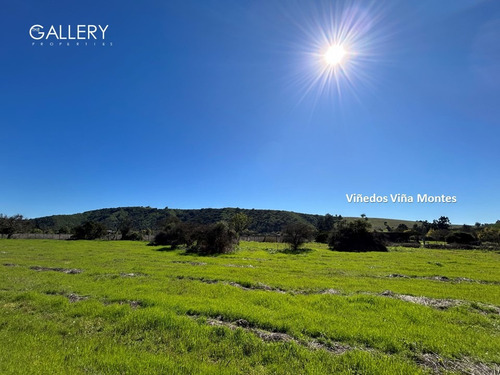 Terreno Plano, Vistas Despejadas, Colinda Viña, Catapilco