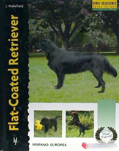 Flat-coated Retriever / Excellence