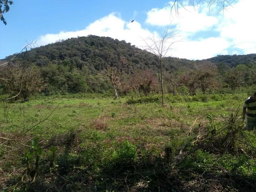 Imagem 12 de 14 de Juquiá/belo Terreno C/riacho/pasto/ref: 05033