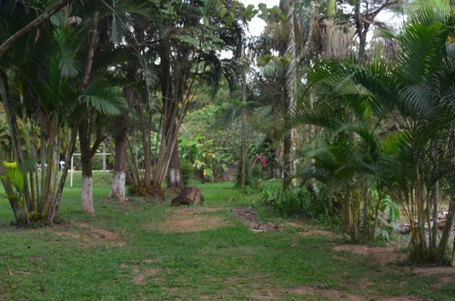 Chácara Residencial Ou Comercial Com 10.080 M² Para A Venda No Joapiranga - Valinhos/sp - Ch0002