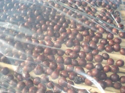 Imagen 10 de 10 de Venta De Finca En San Rafael Mendoza