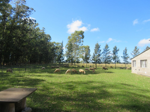 Campo En Venta En Punta Indio