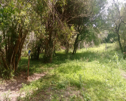 Chácara 2.000 M² - Lomba Grande - Novo Hamburgo - Rs - 1281 - 32419802
