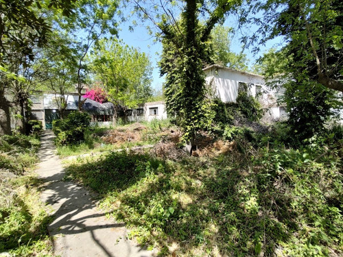 Imagen 6 de 30 de Importante Lote De 19.550 M², Ubicado En La Costa De Sarandí. Oportunidad