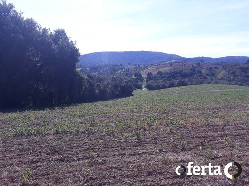 Imagem 15 de 15 de Chacara - Bugre - Ref: 773 - V-773