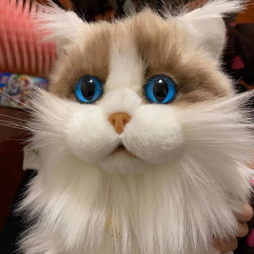 Gato Ragdoll, Animal Relleno, Muñeco De Bufanda Gato Caqui