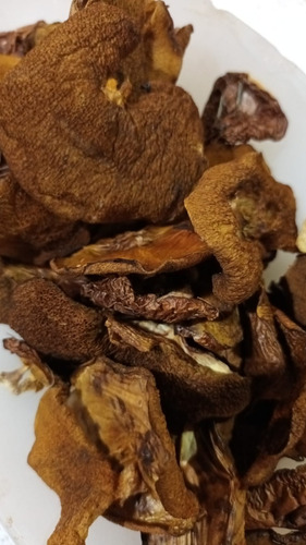 Hongos Frescos Boletus X Kgrs De Pino