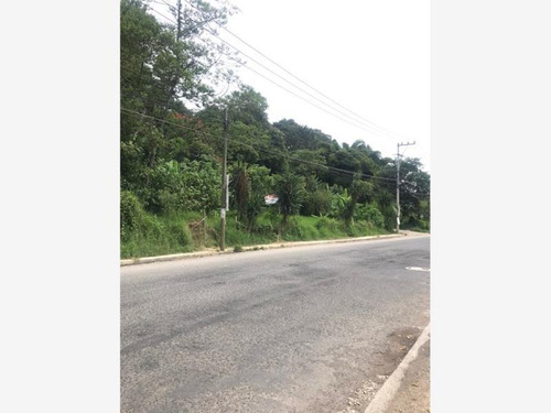Imagen 8 de 10 de Terreno Comercial En Venta Bellavista