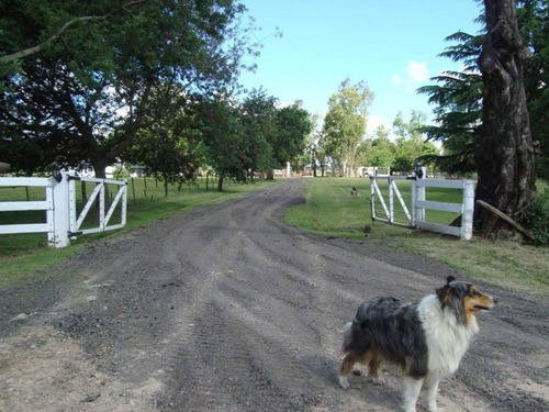  Venta Estancia Con 20 Hectáreas De Campo Agricola/ganadero