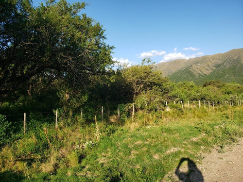 Imagen 11 de 16 de Hermosa Fracción De Bosque En La Zona Mas Alta!!!