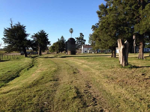 Casco Antiguo Con 10 Has De Campo A 40 Minut De Montevideo