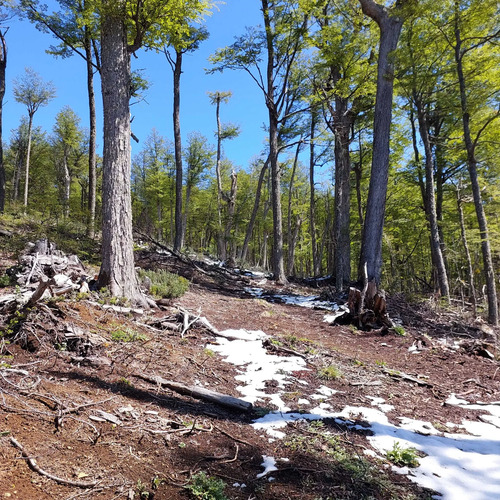 Terreno 35.000m² En Villa Ortega, Coyhaique (172846)